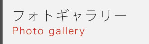 フォトギャラリー
