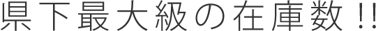 県下最大級の在庫数!!